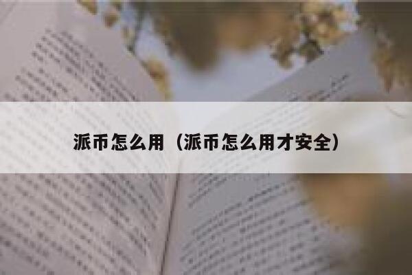 派币怎么用（派币怎么用才安全） 第1张