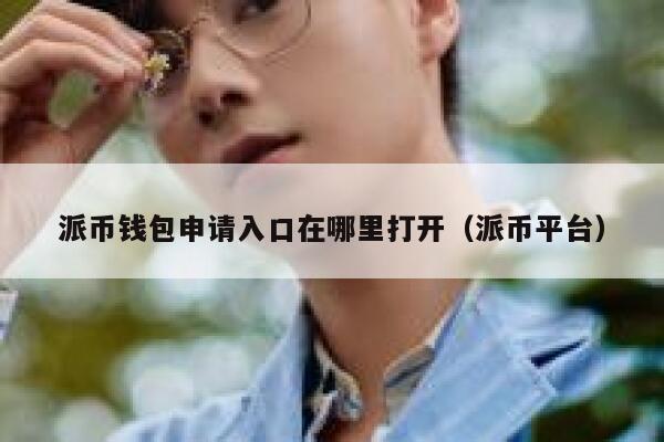 派币钱包申请入口在哪里打开（派币平台） 第1张