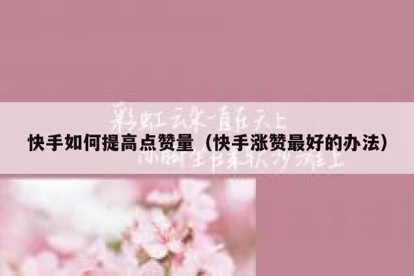 快手如何提高点赞量（快手涨赞最好的办法） 第1张