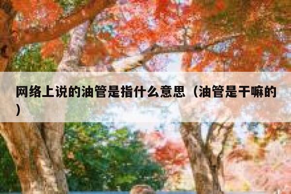 网络上说的油管是指什么意思（油管是干嘛的） 第1张