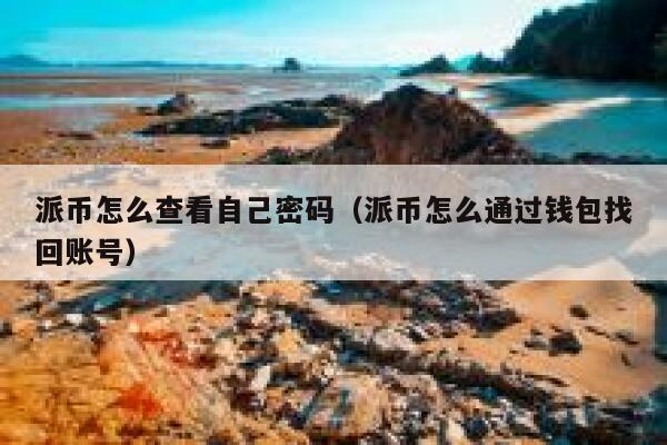 派币怎么查看自己密码（派币怎么通过钱包找回账号） 第1张