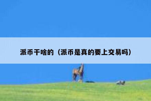 派币干啥的(派币是真的要上交易吗) 第1张 派币干啥的(派币是真的要上交易吗) 第1张