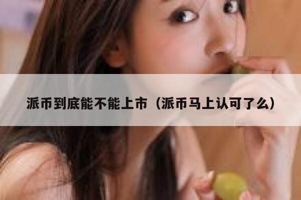 派币到底能不能上市（派币马上认可了么） 第1张