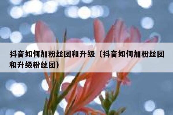抖音如何加粉丝团和升级（抖音如何加粉丝团和升级粉丝团） 第1张