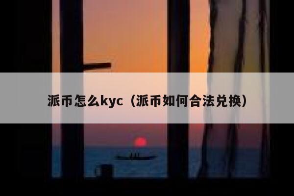 派币怎么kyc（派币如何合法兑换） 第1张