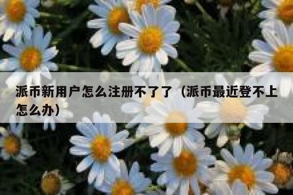 派币新用户怎么注册不了了（派币最近登不上怎么办） 第1张