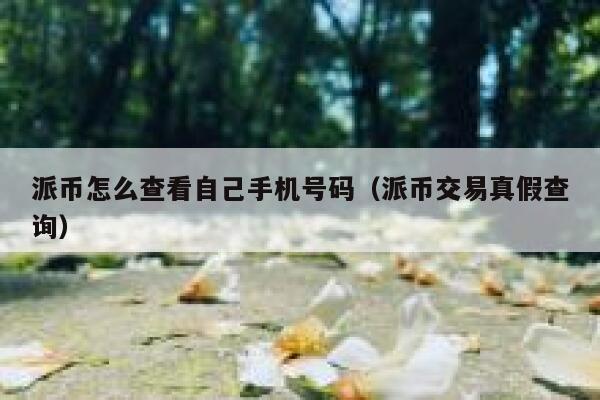 派币怎么查看自己手机号码（派币交易真假查询） 第1张
