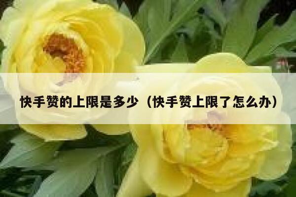 快手赞的上限是多少（快手赞上限了怎么办） 第1张