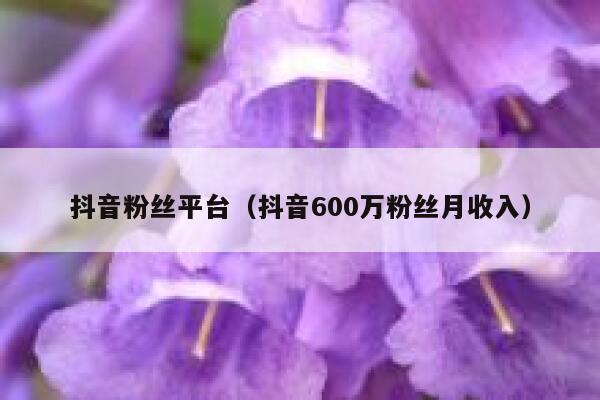 抖音粉丝平台(抖音600万粉丝月收入) 第1张 抖音粉丝平台(抖音600万粉丝月收入) 第1张