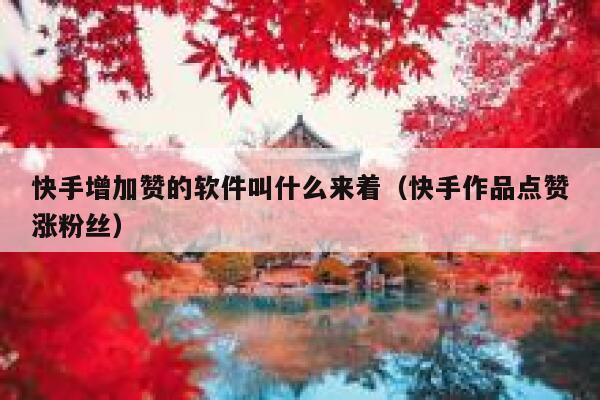 快手增加赞的软件叫什么来着（快手作品点赞涨粉丝） 第1张