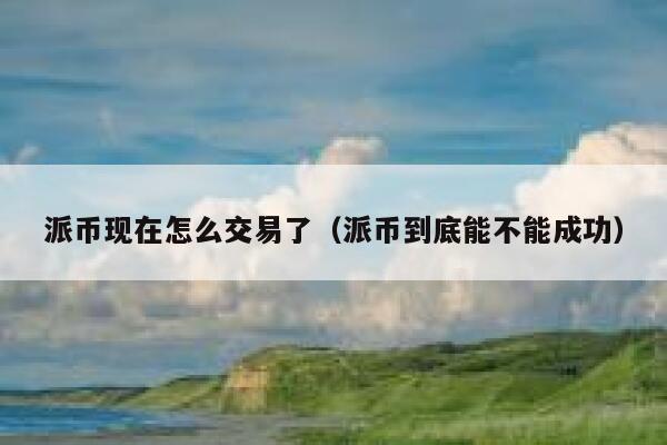 派币现在怎么交易了（派币到底能不能成功） 第1张