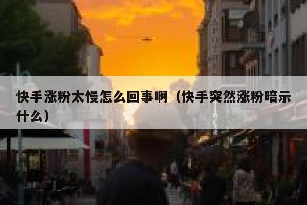 快手涨粉太慢怎么回事啊（快手突然涨粉暗示什么） 第1张