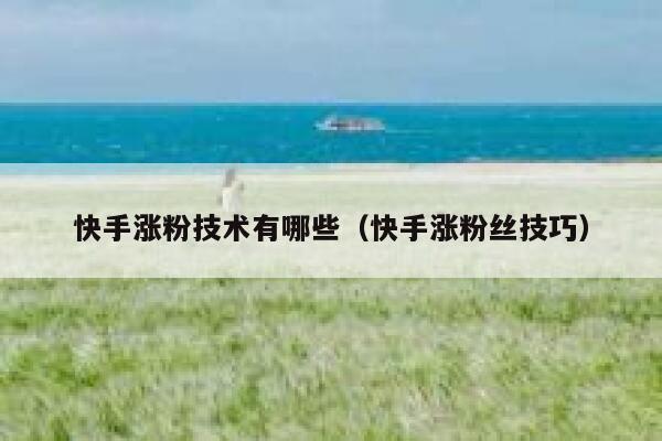 快手涨粉技术有哪些（快手涨粉丝技巧） 第1张