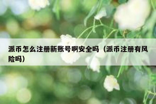 派币怎么注册新账号啊安全吗（派币注册有风险吗） 第1张
