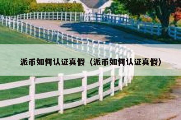 派币如何认证真假（派币如何认证真假） 第1张