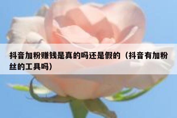 抖音加粉赚钱是真的吗还是假的（抖音有加粉丝的工具吗） 第1张