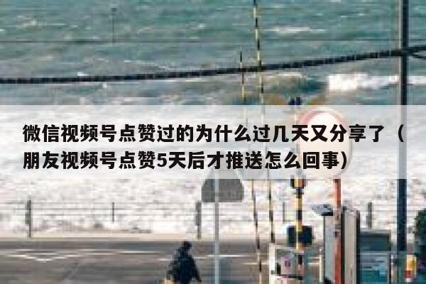 微信视频号点赞过的为什么过几天又分享了（朋友视频号点赞5天后才推送怎么回事） 第1张