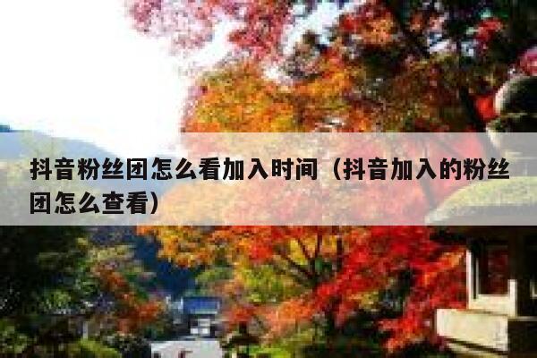 抖音粉丝团怎么看加入时间（抖音加入的粉丝团怎么查看） 第1张