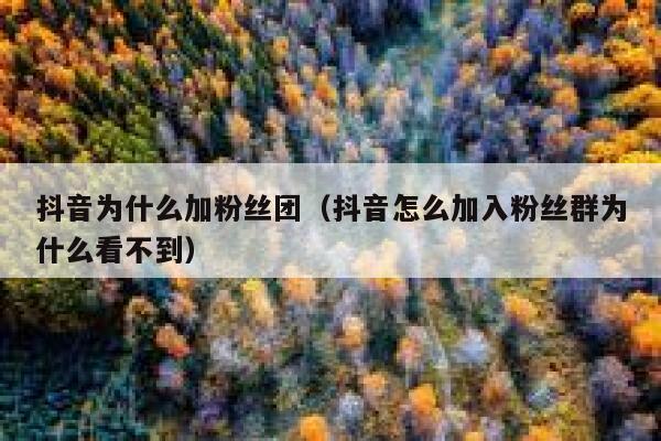 抖音为什么加粉丝团(抖音怎么加入粉丝群为什么看不到) 第1张 抖音为什么加粉丝团(抖音怎么加入粉丝群为什么看不到) 第1张