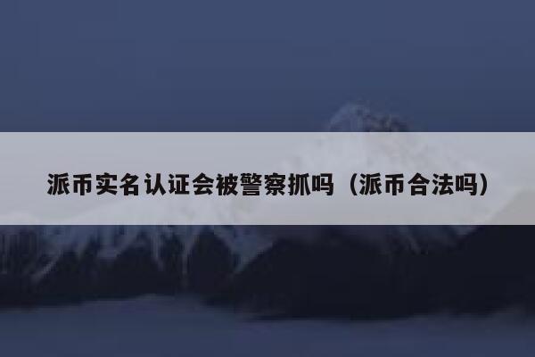 派币实名认证会被警察抓吗(派币合法吗) 第1张 派币实名认证会被警察抓吗(派币合法吗) 第1张