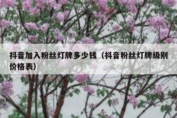 抖音加入粉丝灯牌多少钱（抖音粉丝灯牌级别价格表） 第1张