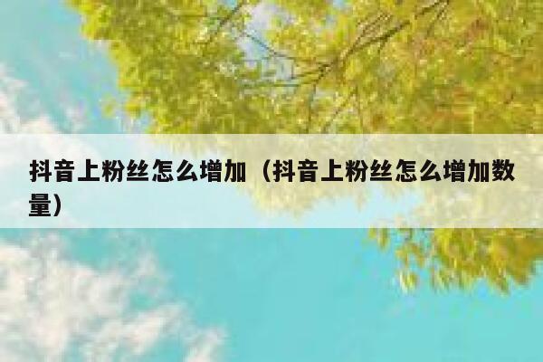 抖音上粉丝怎么增加（抖音上粉丝怎么增加数量） 第1张