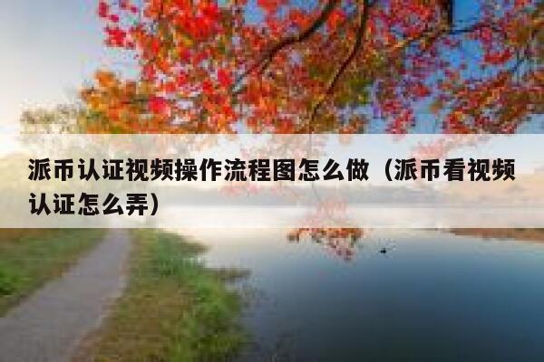 派币认证视频操作流程图怎么做（派币看视频认证怎么弄） 第1张