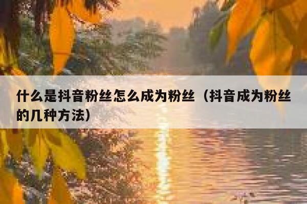 什么是抖音粉丝怎么成为粉丝（抖音成为粉丝的几种方法） 第1张