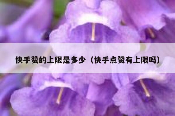 快手赞的上限是多少（快手点赞有上限吗） 第1张