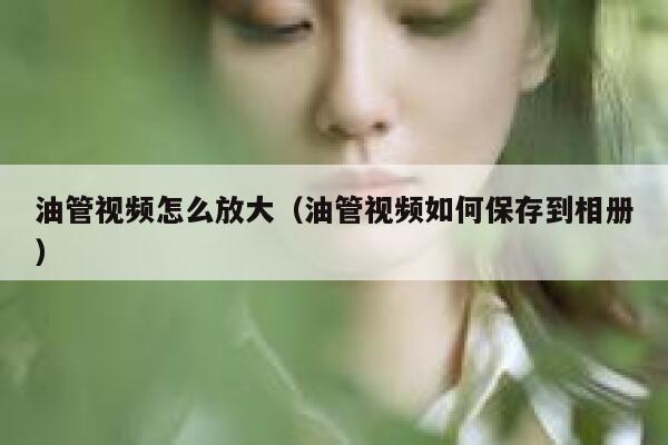 油管视频怎么放大（油管视频如何保存到相册） 第1张