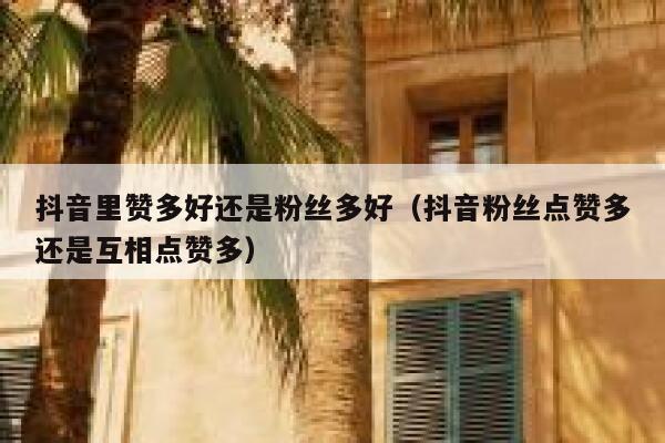 抖音里赞多好还是粉丝多好（抖音粉丝点赞多还是互相点赞多） 第1张