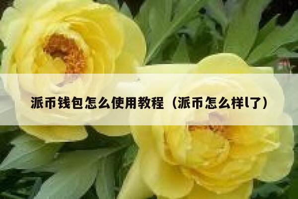 派币钱包怎么使用教程（派币怎么样l了） 第1张