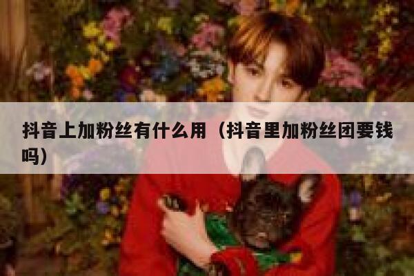 抖音上加粉丝有什么用（抖音里加粉丝团要钱吗） 第1张