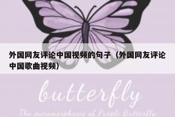 外国网友评论中国视频的句子（外国网友评论中国歌曲视频） 第1张