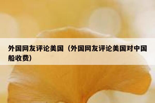外国网友评论美国（外国网友评论美国对中国船收费） 第1张