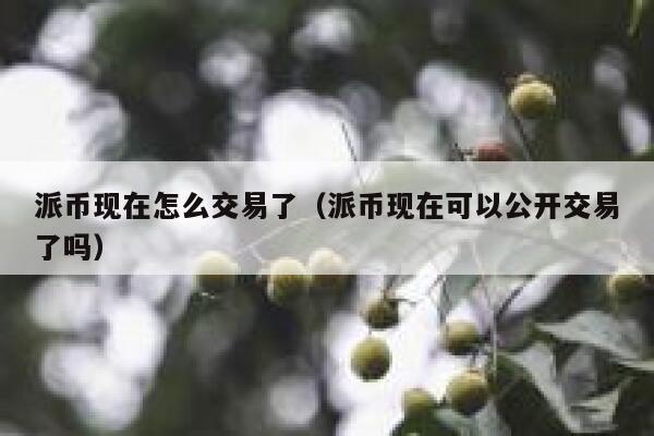 派币现在怎么交易了(派币现在可以公开交易了吗) 第1张 派币现在怎么交易了(派币现在可以公开交易了吗) 第1张