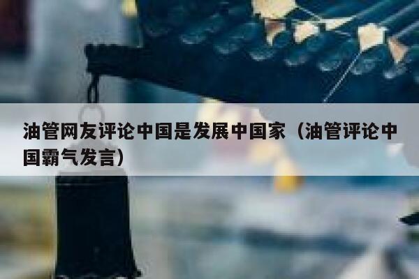 油管网友评论中国是发展中国家（油管评论中国霸气发言） 第1张