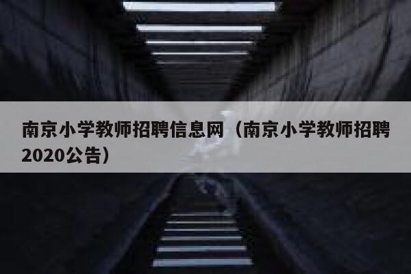 南京小学教师招聘信息网（南京小学教师招聘2020公告） 第1张