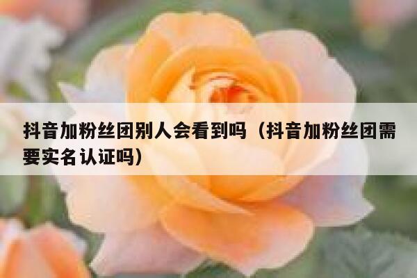 抖音加粉丝团别人会看到吗（抖音加粉丝团需要实名认证吗） 第1张