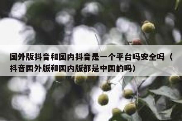 国外版抖音和国内抖音是一个平台吗安全吗（抖音国外版和国内版都是中国的吗） 第1张