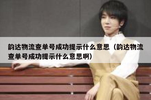 韵达物流查单号成功提示什么意思（韵达物流查单号成功提示什么意思啊） 第1张