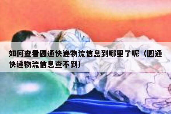 如何查看圆通快递物流信息到哪里了呢（圆通快递物流信息查不到） 第1张