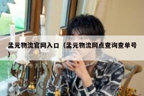 孟元物流官网入口（孟元物流网点查询查单号） 第1张