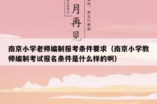 南京小学老师编制报考条件要求（南京小学教师编制考试报名条件是什么样的啊） 第1张
