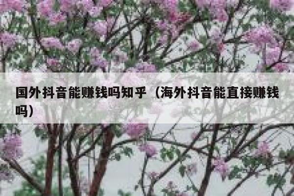 国外抖音能赚钱吗知乎（海外抖音能直接赚钱吗） 第1张