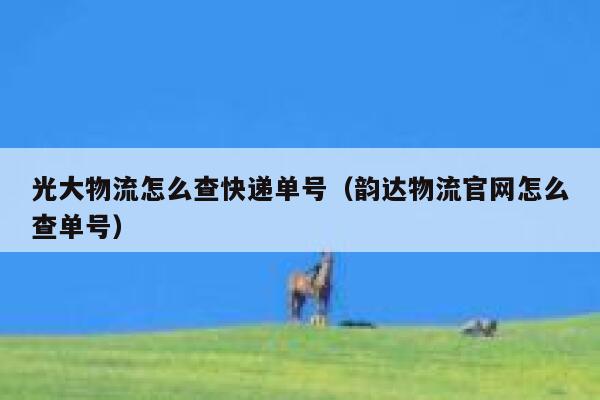 光大物流怎么查快递单号（韵达物流官网怎么查单号） 第1张