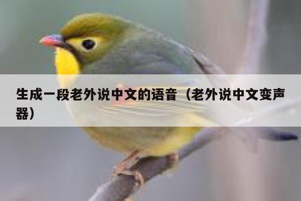 生成一段老外说中文的语音（老外说中文变声器） 第1张