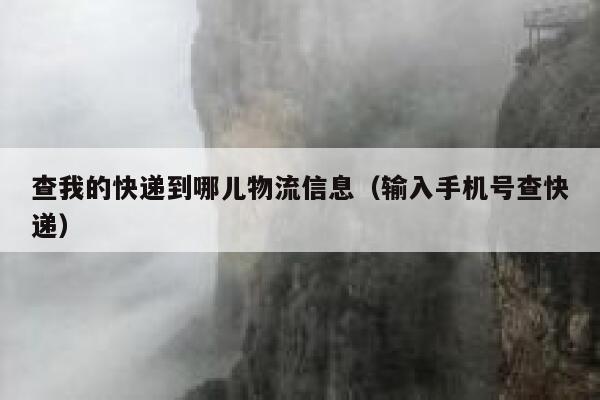 查我的快递到哪儿物流信息（输入手机号查快递） 第1张