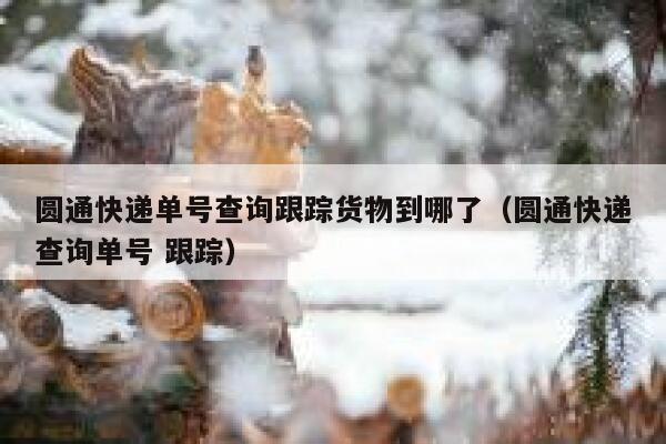 圆通快递单号查询跟踪货物到哪了（圆通快递查询单号 跟踪） 第1张