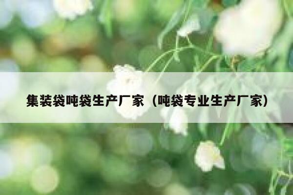 集装袋吨袋生产厂家（吨袋专业生产厂家） 第1张